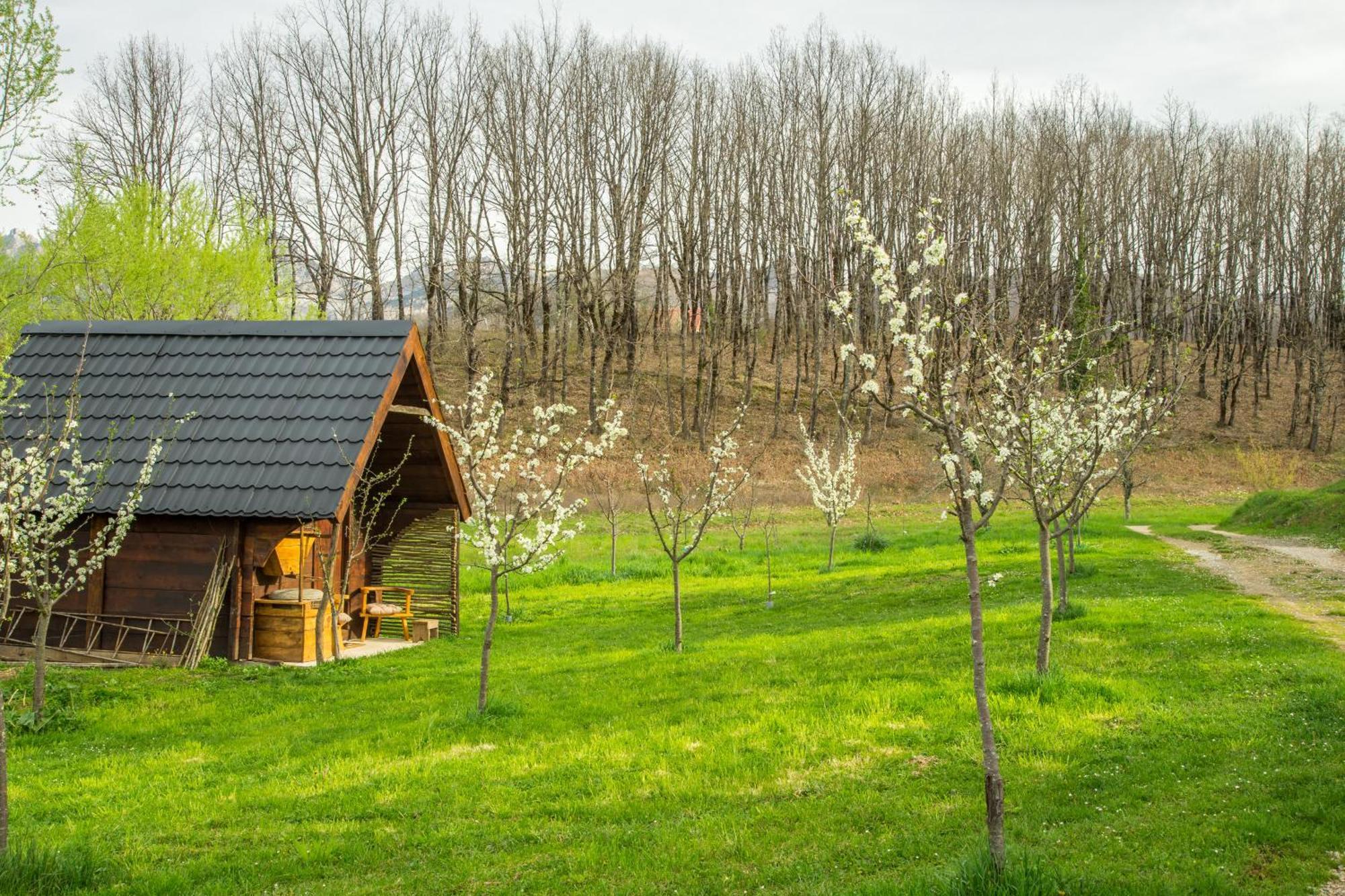 Djurdjevina Family Farm Vila Kolašin Exterior foto