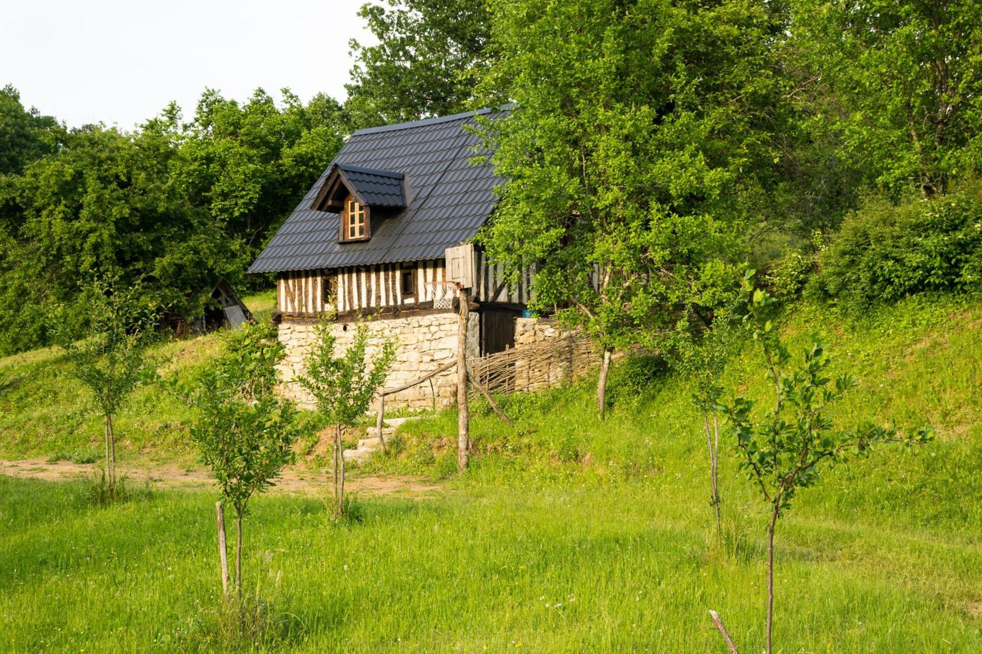Djurdjevina Family Farm Vila Kolašin Quarto foto